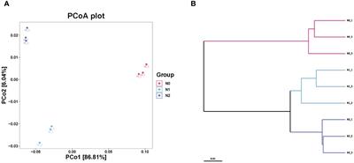 Soil metagenomics reveals the effect of nitrogen on soil microbial communities and nitrogen-cycle functional genes in the rhizosphere of Panax ginseng